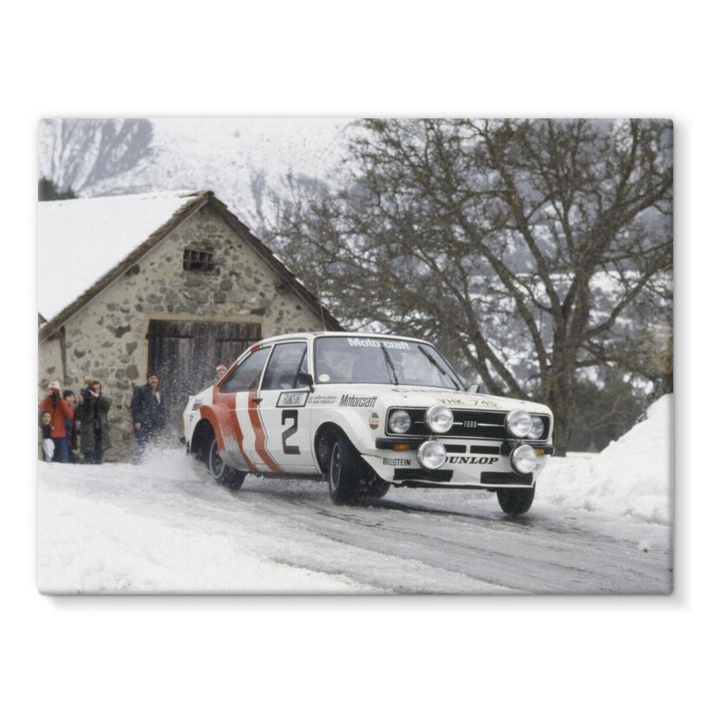 1979 World Rally Championship | Motorstore Gallery
