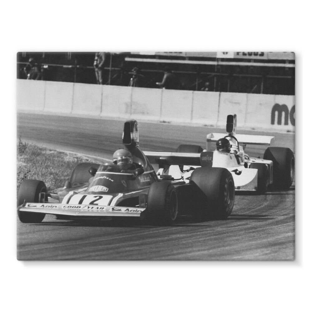 Niki Lauda AND James Hunt - 1974 | Motorstore Gallery